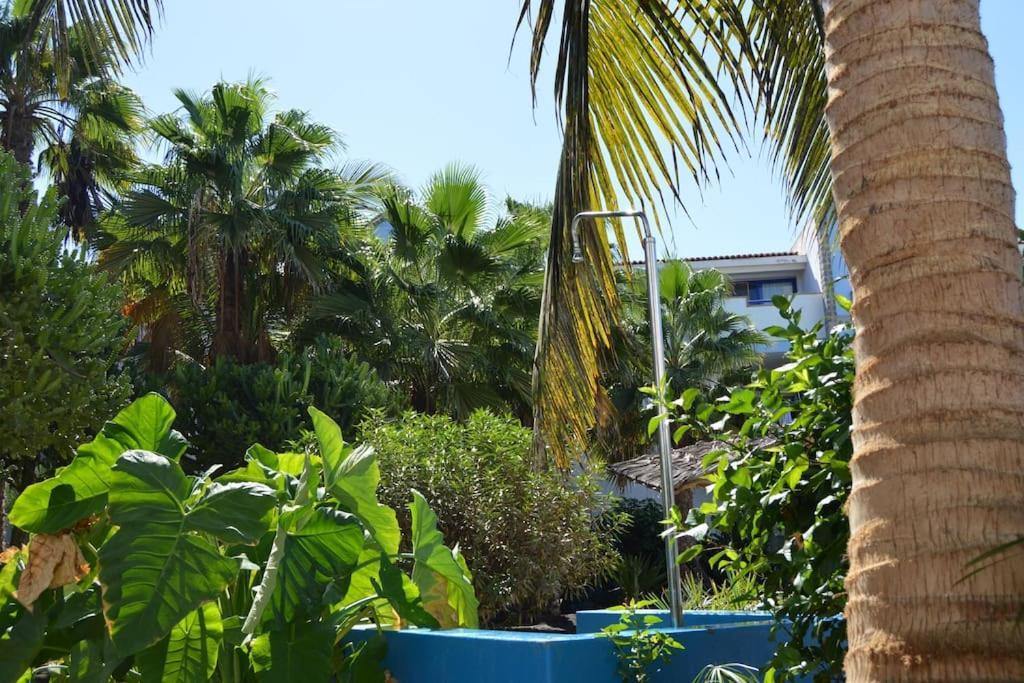 Holiday Properties Moradias Green Santa Maria Exteriér fotografie